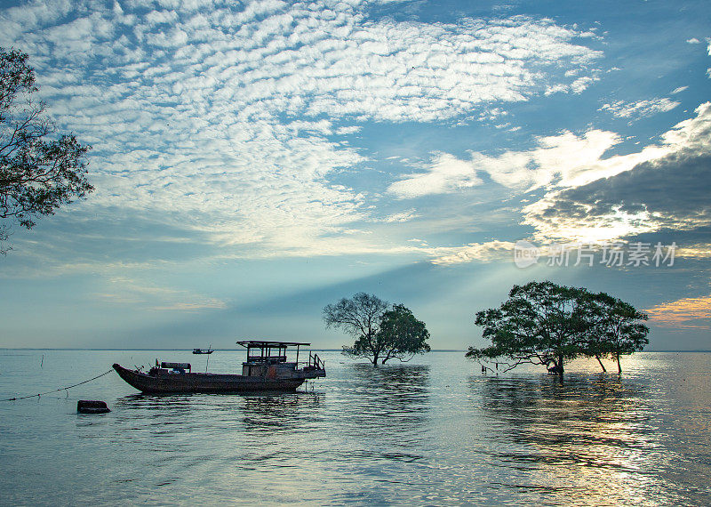 一艘停靠在Tan Thanh海上的船和清晨阳光下的红树林的景观，天江省